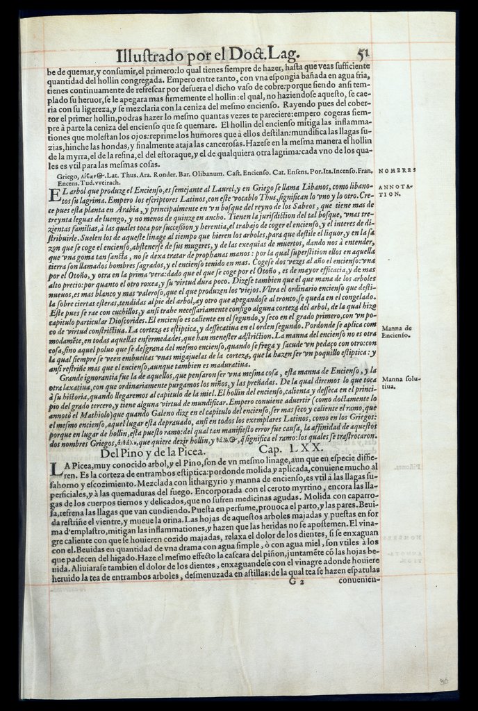De Materia Medica de Dioscorides. Amberes 1555. Libro I. 51