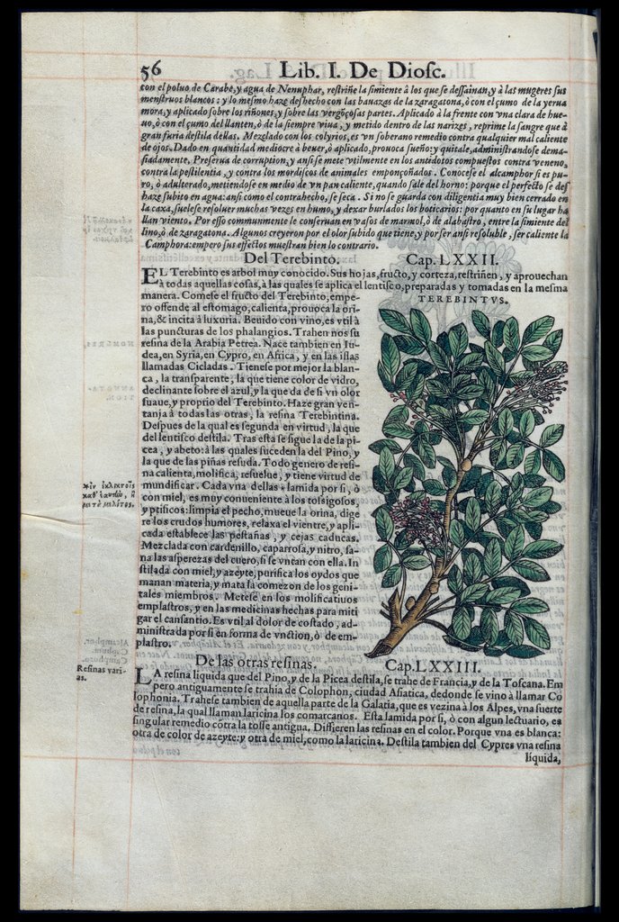 De Materia Medica de Dioscorides. Amberes 1555. Libro I. 56