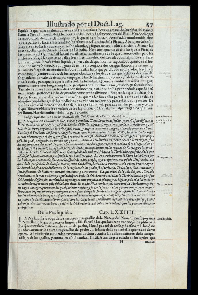 De Materia Medica de Dioscorides. Amberes 1555. Libro I. 57