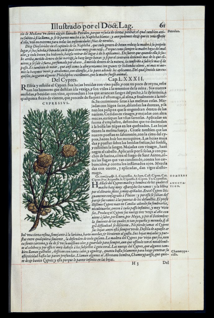 De Materia Medica de Dioscorides. Amberes 1555. Libro I. 61