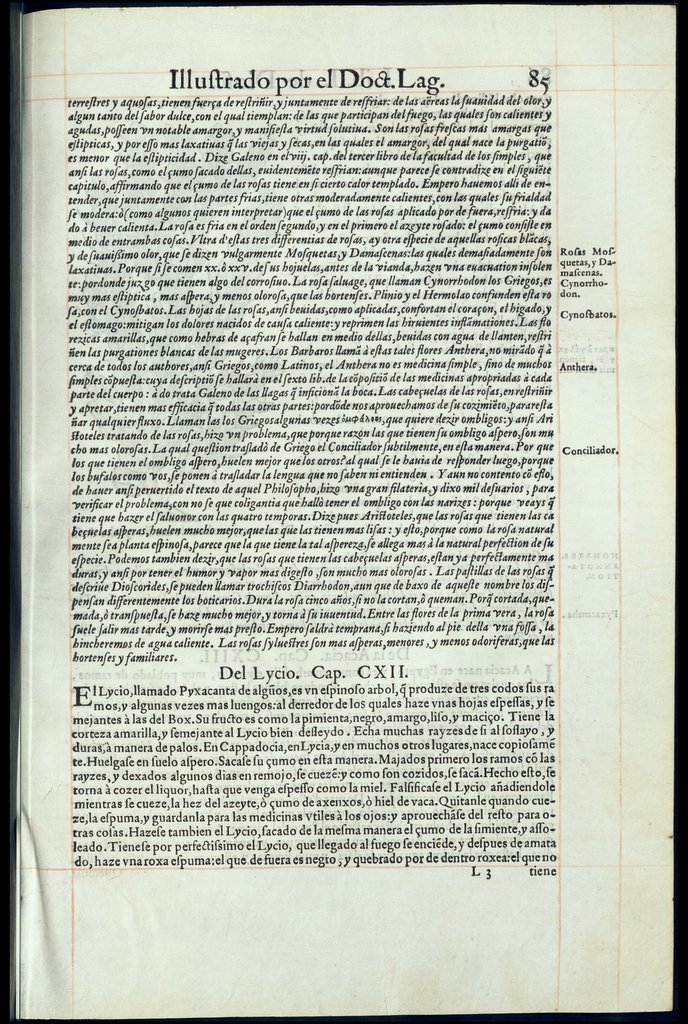 De Materia Medica de Dioscorides. Amberes 1555. Libro I. 85