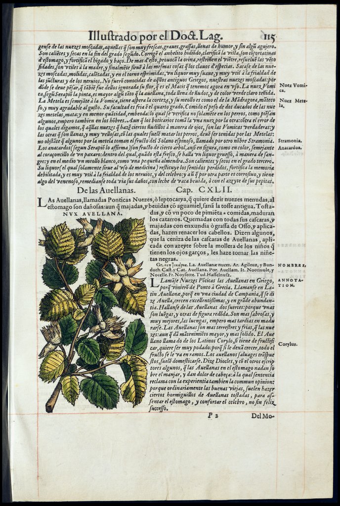 De Materia Medica de Dioscorides. Amberes 1555. Libro I. 115