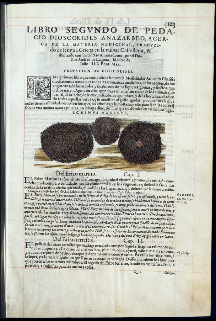 De Materia Medica de Dioscorides. Amberes 1555. Libro II. 123