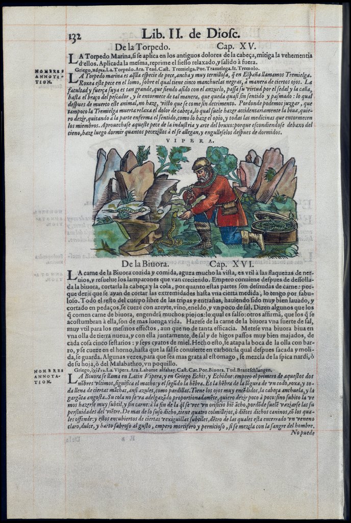 De Materia Medica de Dioscorides. Amberes 1555. Libro II. 132