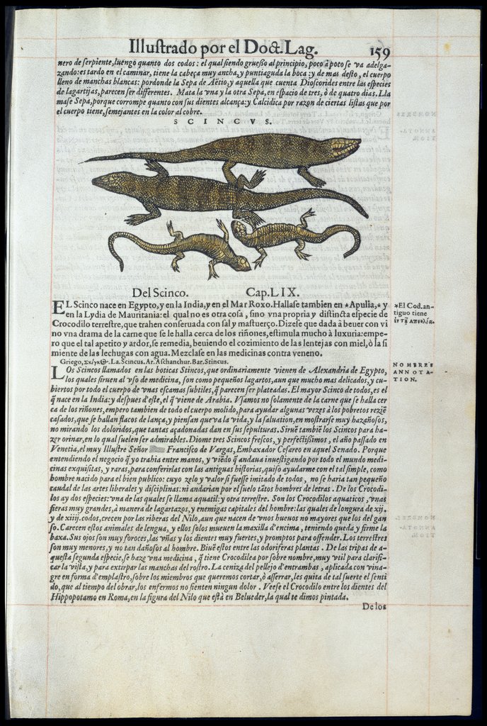 De Materia Medica de Dioscorides. Amberes 1555. Libro II. 159