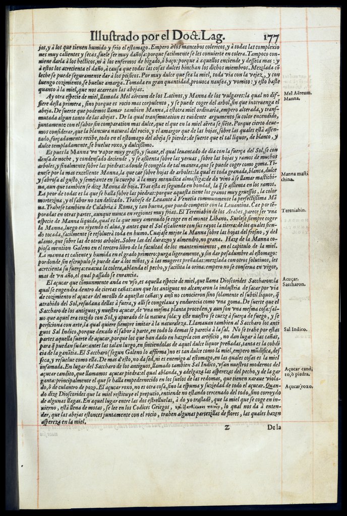 De Materia Medica de Dioscorides. Amberes 1555. Libro II. 177