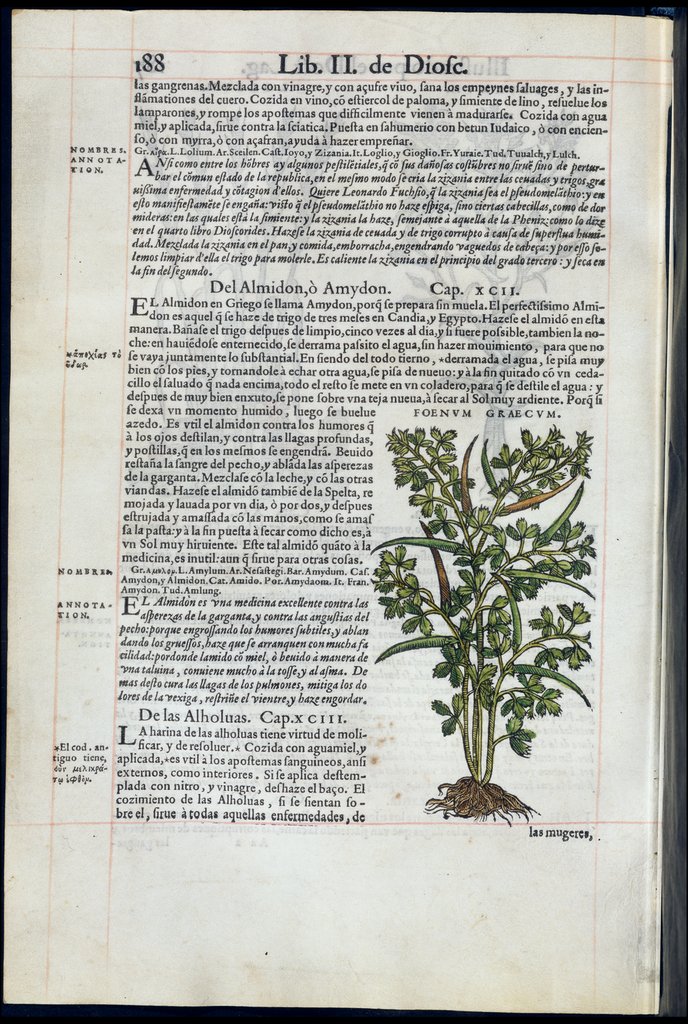 De Materia Medica de Dioscorides. Amberes 1555. Libro II. 188