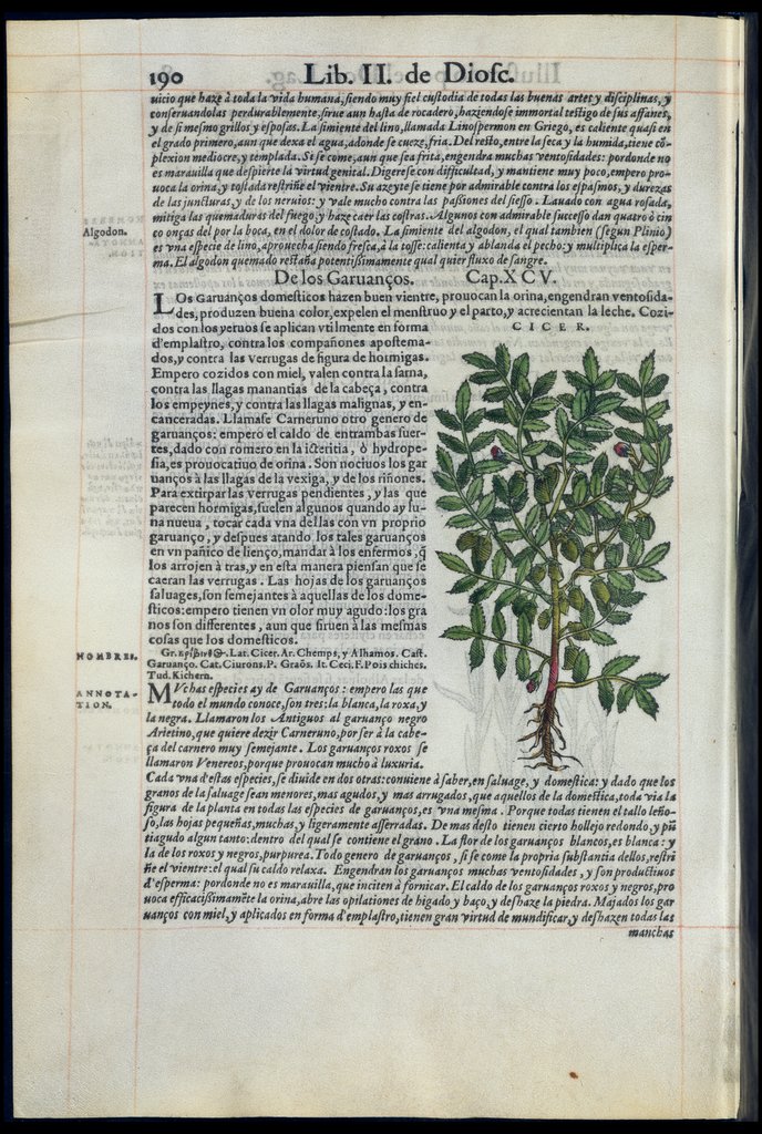 De Materia Medica de Dioscorides. Amberes 1555. Libro II. 190