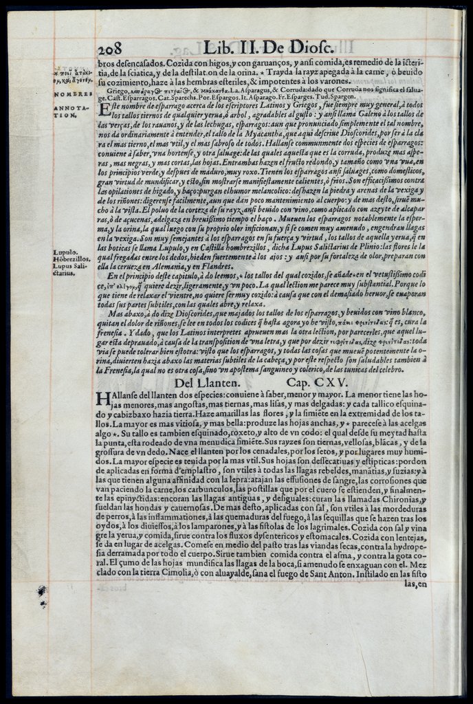 De Materia Medica de Dioscorides. Amberes 1555. Libro II. 208