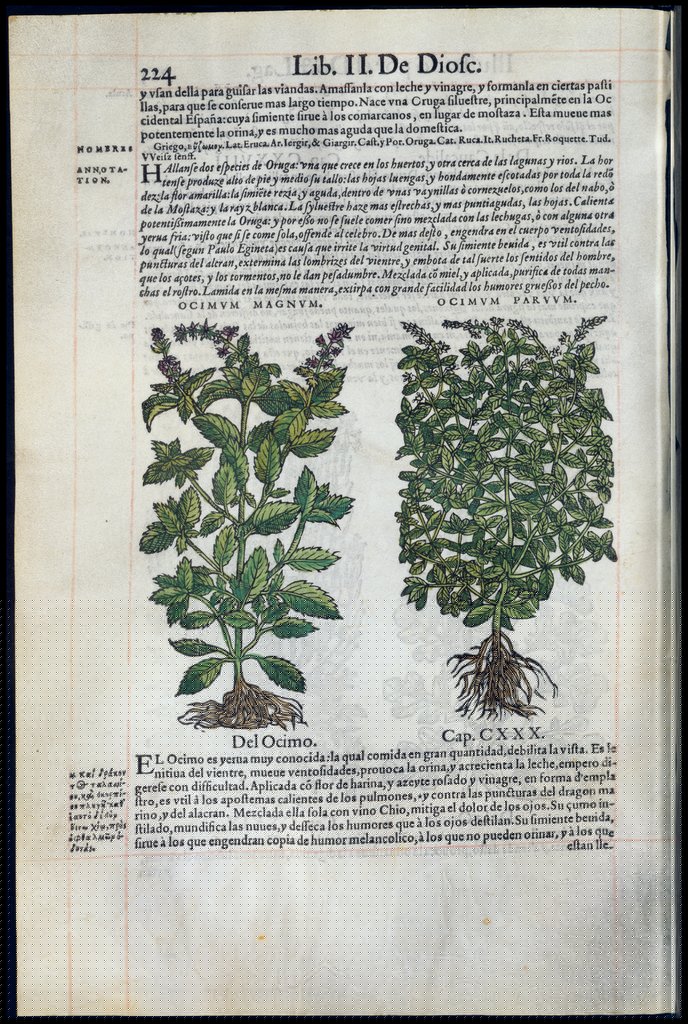 De Materia Medica de Dioscorides. Amberes 1555. Libro II. 224