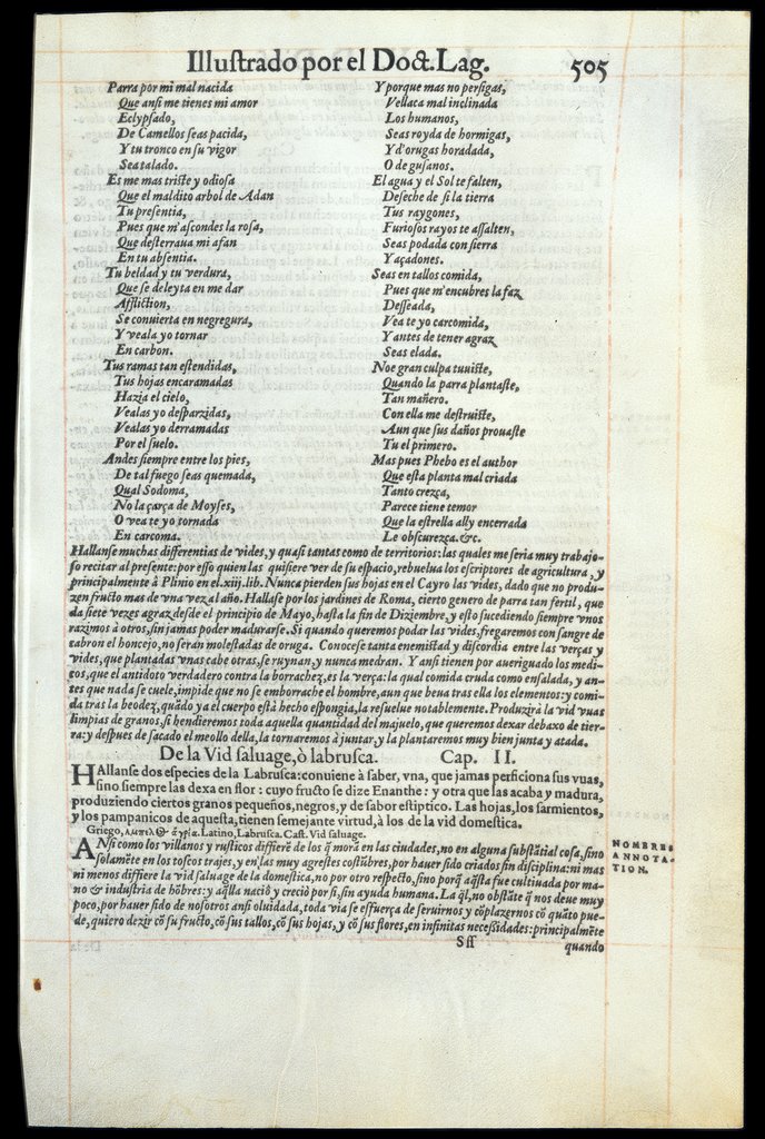 De Materia Medica de Dioscorides. Andres Laguna. Amberes 1555. Libro V. 505