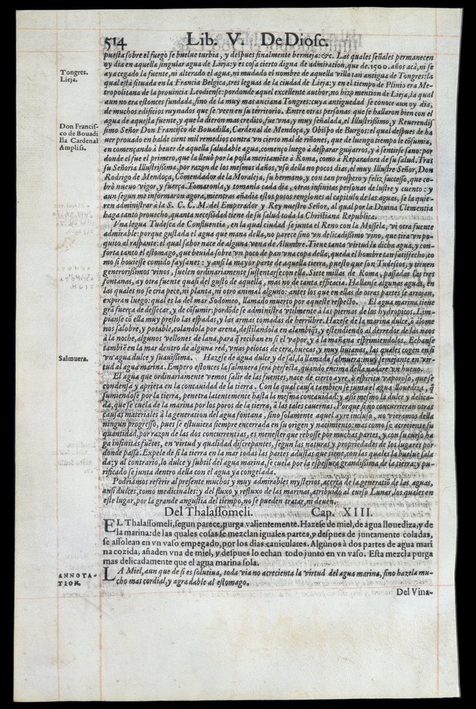 De Materia Medica de Dioscorides. Andres Laguna. Amberes 1555. Libro V. 514