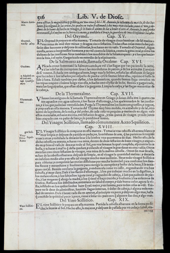 De Materia Medica de Dioscorides. Andres Laguna. Amberes 1555. Libro V. 516