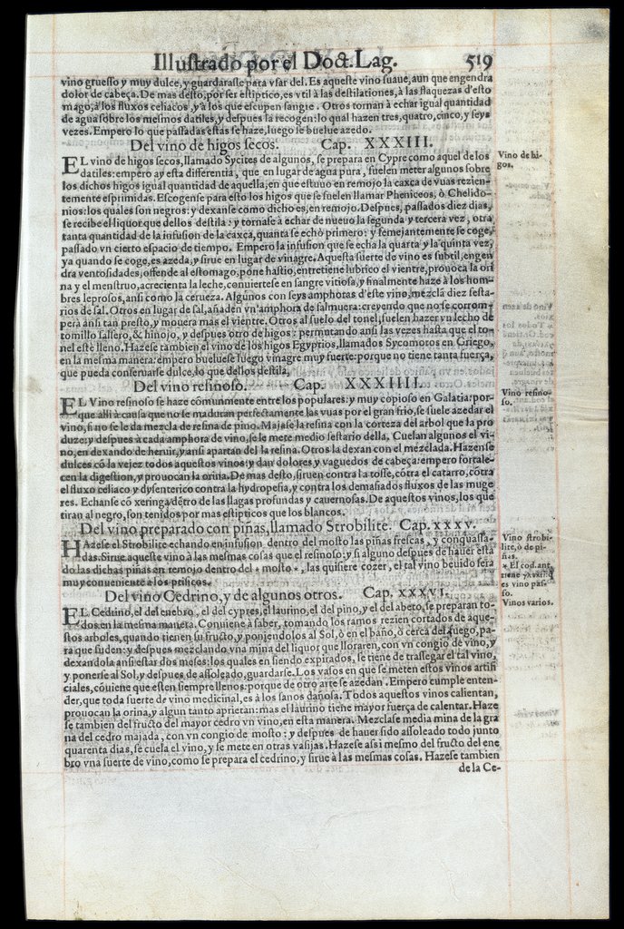 De Materia Medica de Dioscorides. Andres Laguna. Amberes 1555. Libro V. 519