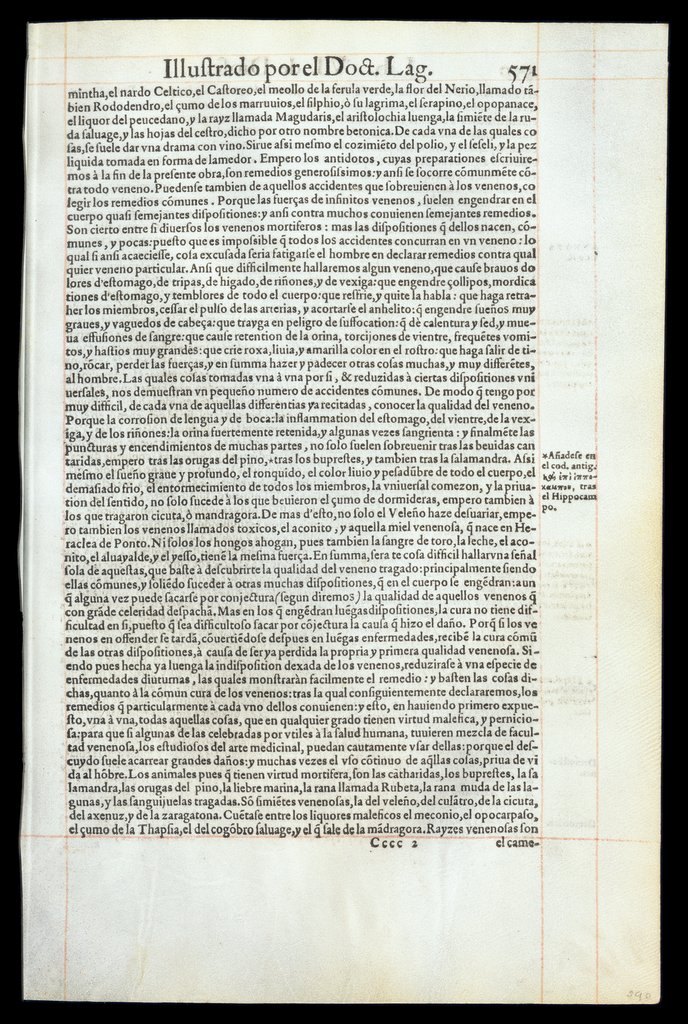 De Materia Medica de Dioscorides. Andres Laguna. Amberes 1555. Libro VI. 571