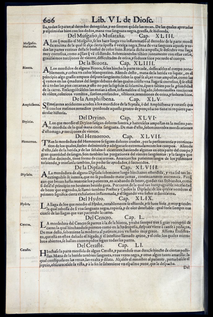 De Materia Medica de Dioscorides. Andres Laguna. Amberes 1555. Libro VI. 606