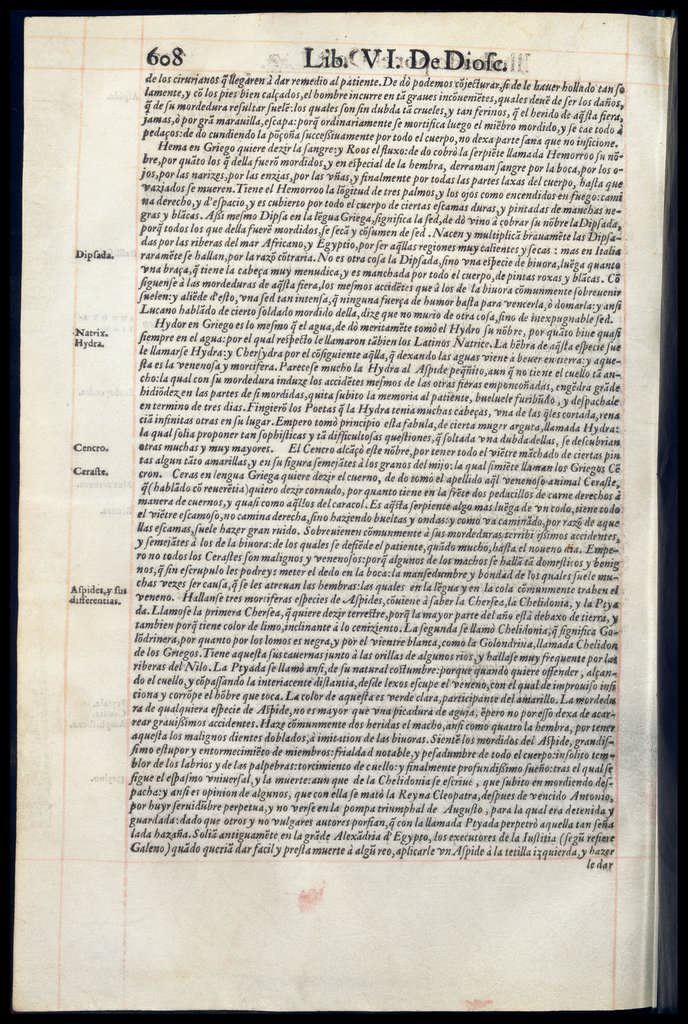 De Materia Medica de Dioscorides. Andres Laguna. Amberes 1555. Libro VI. 608