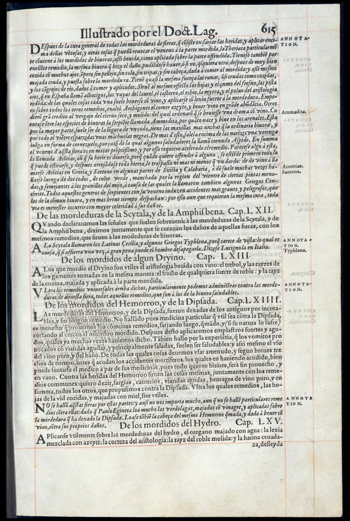 De Materia Medica de Dioscorides. Andres Laguna. Amberes 1555. Libro VI. 615