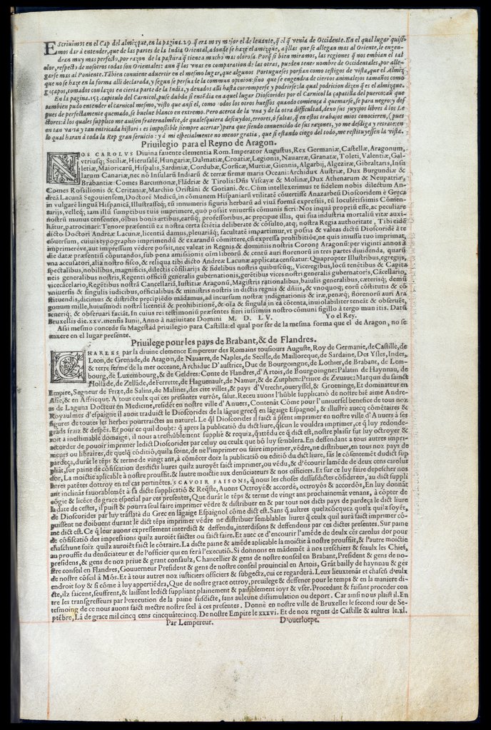 De Materia Medica de Dioscorides. Andres Laguna. Amberes 1555. Libro VI. 639