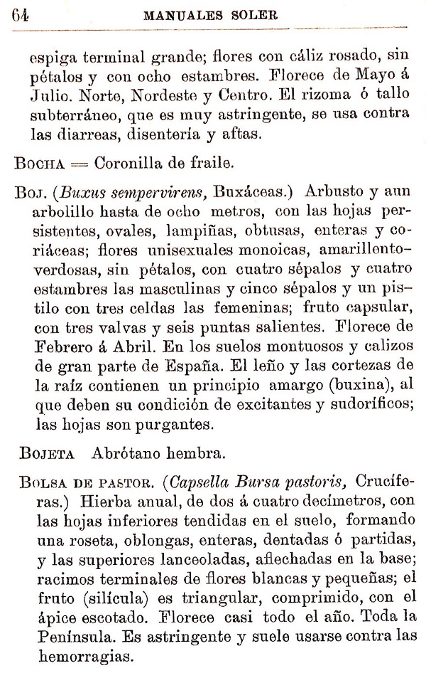 Plantas Medicinales. Blas Lazaro Ibiza. Índice alfabético de plantas. B