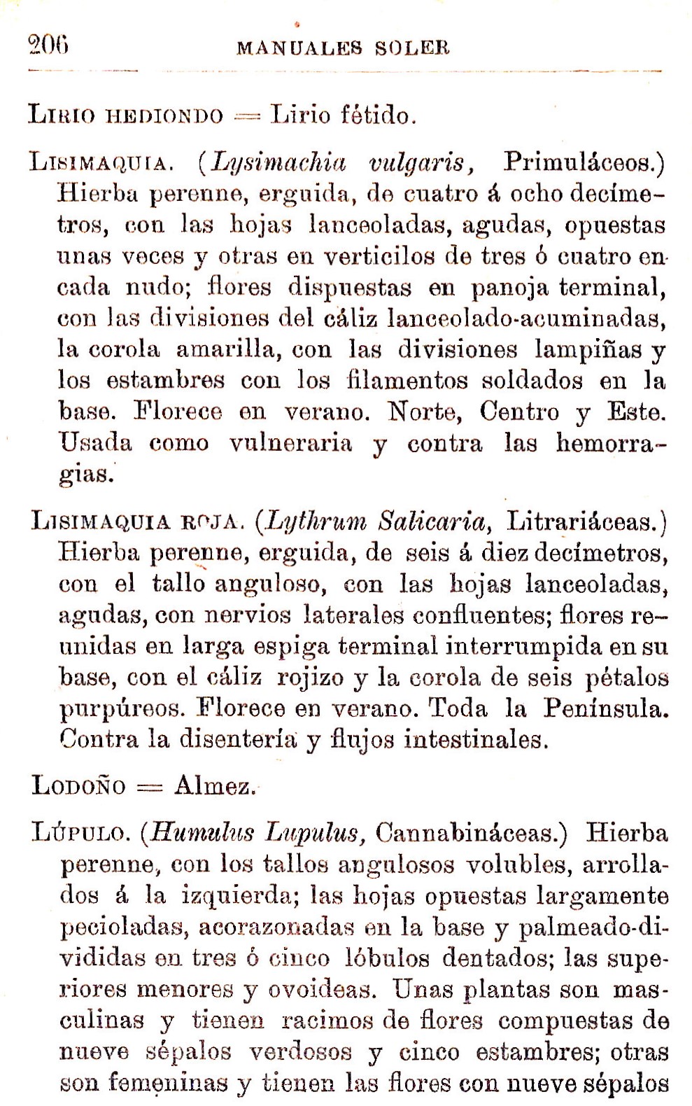 Plantas Medicinales. Blas Lazaro Ibiza. Índice alfabético de plantas. L. Lisimaquia.