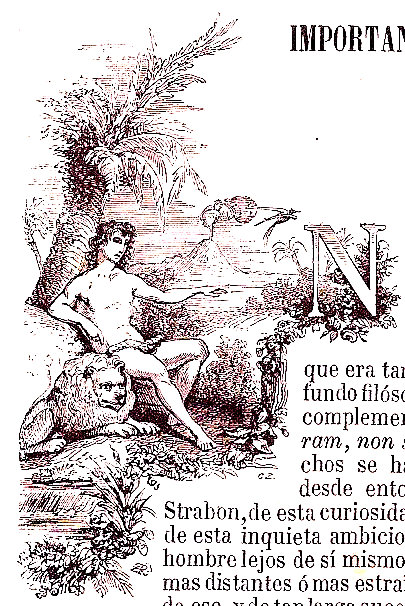 Letra capital N, hombre joven y León Letra capital N, hombre joven y León