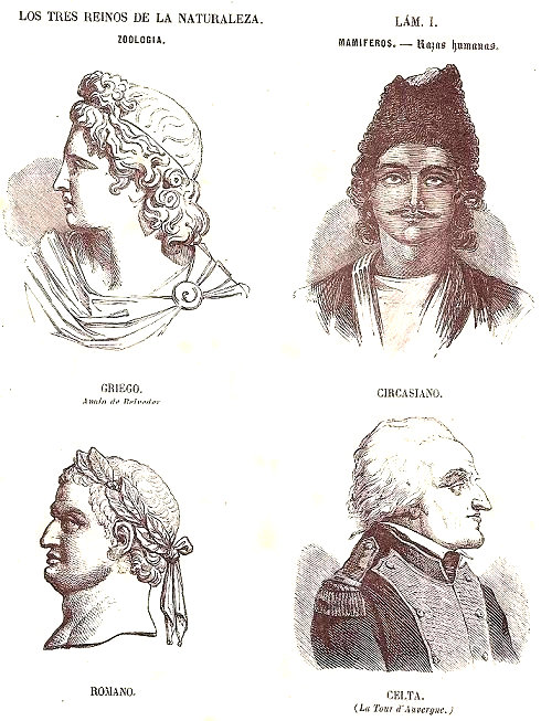 Lámina 1. Las razas Humanas. Mamíferos. Zoología. Buffon: Los tres Reinos de la Naturaleza.
