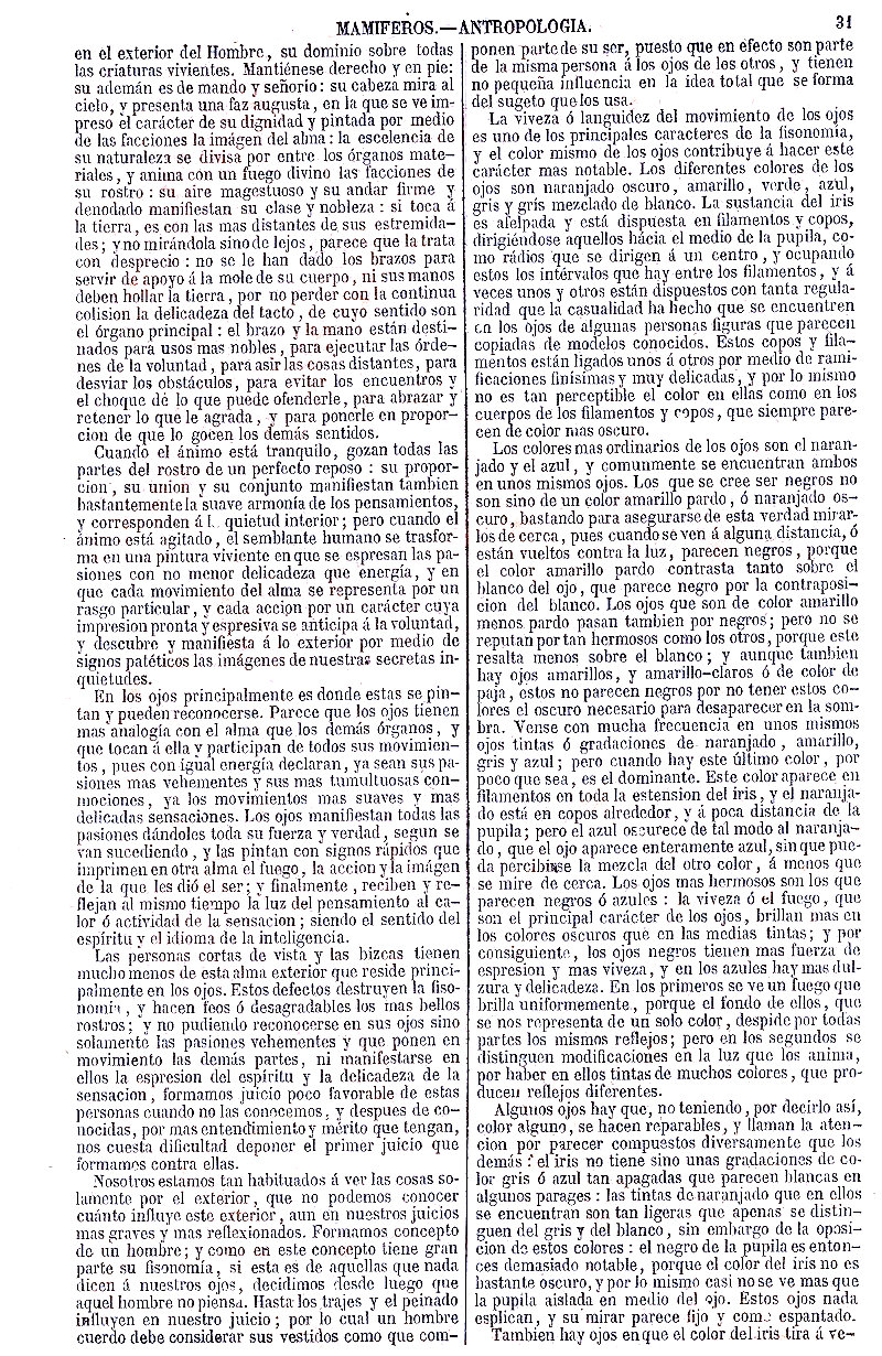Antropología. Importancia y sublimidad del Hombre en la creación. Zoología o Reino Animal. Mamíferos. Buffon Historia Natural los Tres Reinos de la Naturaleza