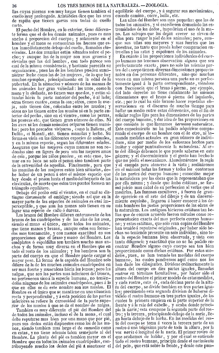 Antropología. Importancia y sublimidad del Hombre en la creación. Zoología o Reino Animal. Mamíferos. Buffon Historia Natural los Tres Reinos de la Naturaleza