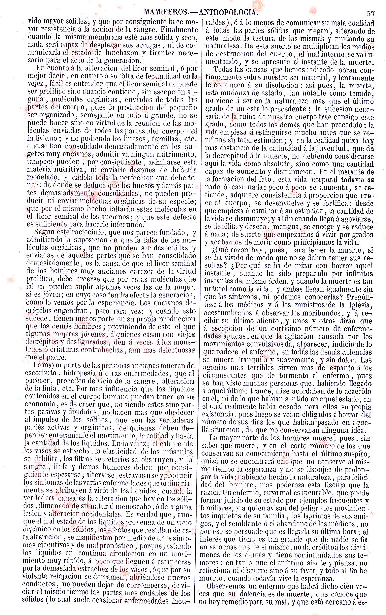 Antropología. Importancia y sublimidad del Hombre en la creación. Zoología o Reino Animal. Mamíferos. Buffon Historia Natural los Tres Reinos de la Naturaleza