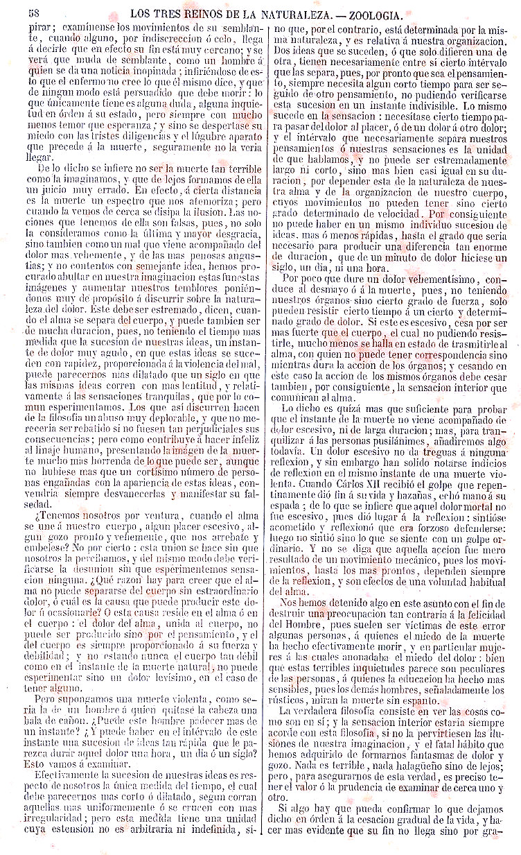 Antropología. Importancia y sublimidad del Hombre en la creación. Zoología o Reino Animal. Mamíferos. Buffon Historia Natural los Tres Reinos de la Naturaleza