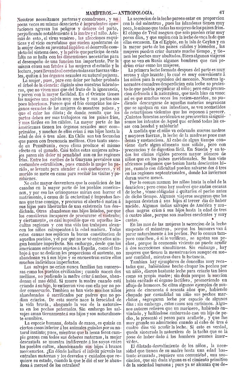 Antropología. Importancia y sublimidad del Hombre en la creación. Zoología o Reino Animal. Mamíferos. Buffon Historia Natural los Tres Reinos de la Naturaleza