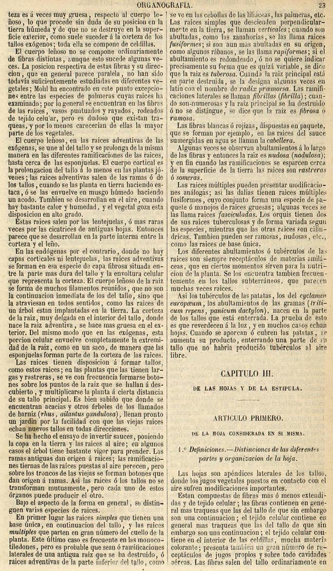 Botánica. Página 23. Los Tres Reinos de la Naturaleza. Museo Pintoresco.