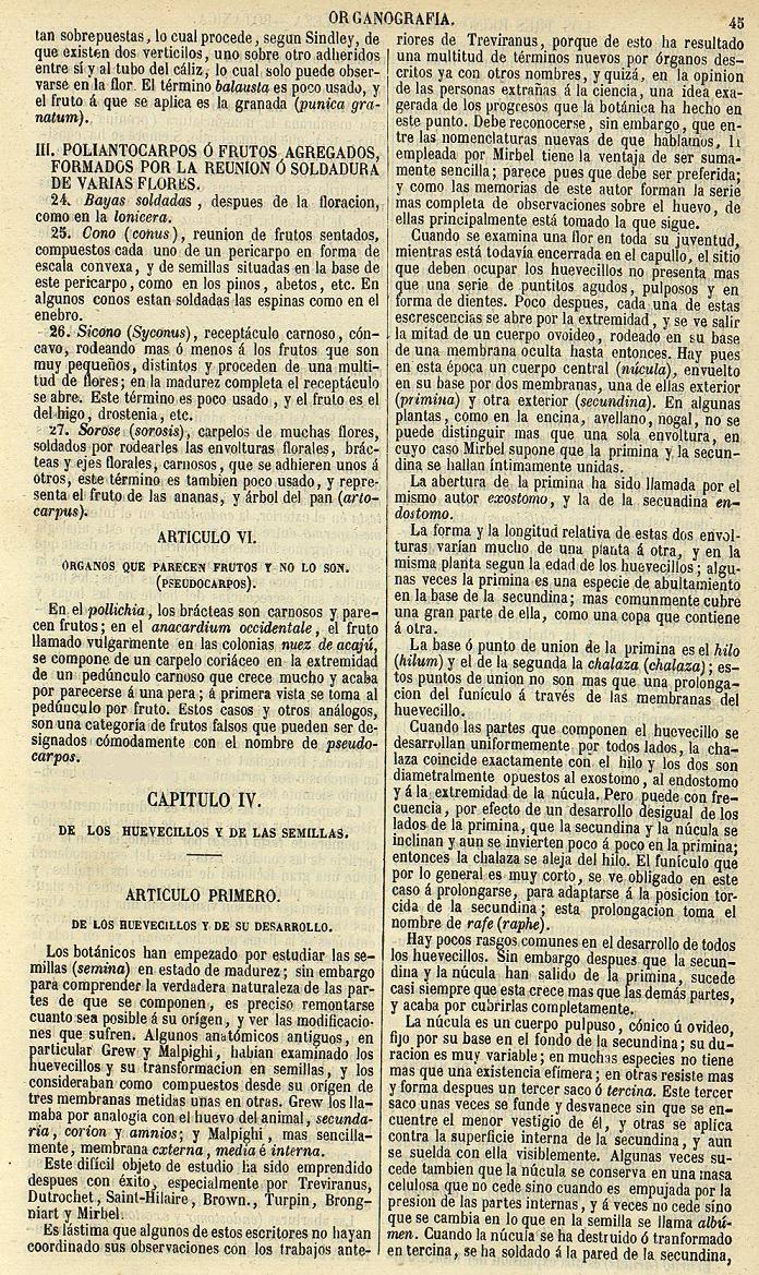Bot&aacute;nica. Página 45. Los Tres Reinos de la Naturaleza. Museo Pintoresco.