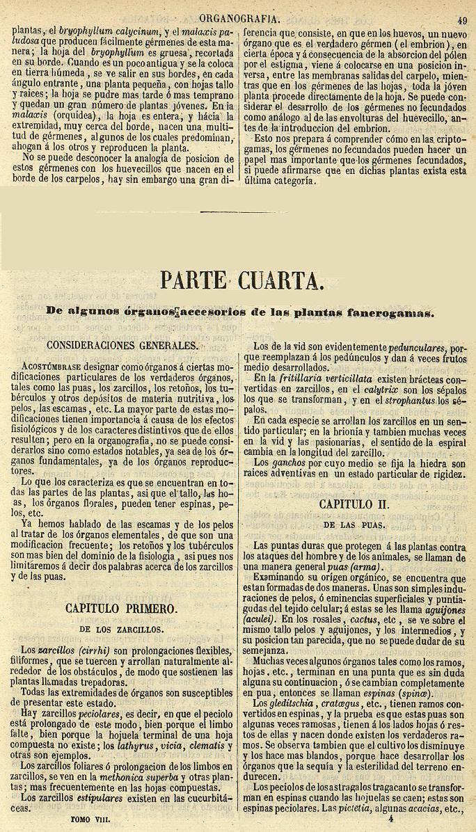Botánica. Página 49. Los Tres Reinos de la Naturaleza. Museo Pintoresco.