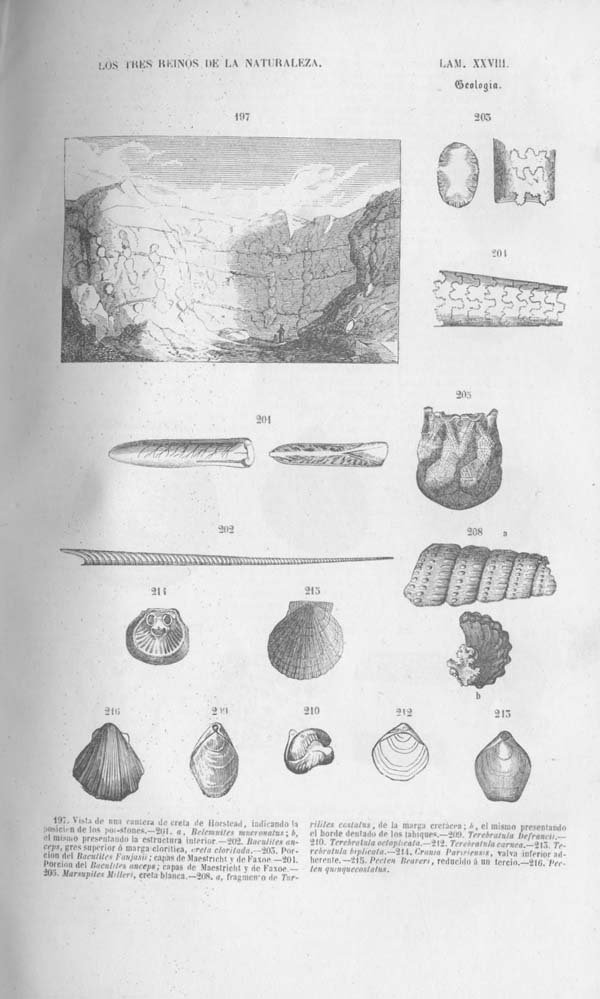 Página 405. Tomo noveno. Los Tres Reinos de la Naturaleza. Museo Pintoresco. Mineralog&iacute;a.