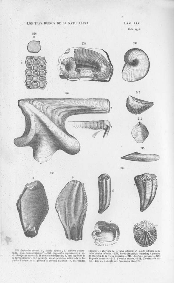 Página 407. Tomo noveno. Los Tres Reinos de la Naturaleza. Museo Pintoresco. Mineralog&iacute;a.