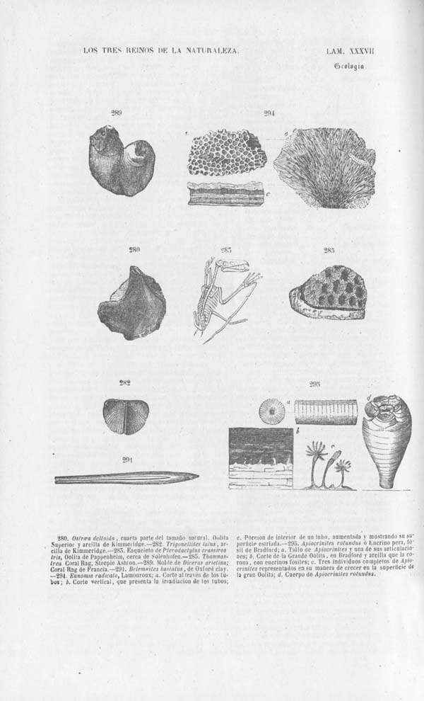 Página 430. Tomo noveno. Los Tres Reinos de la Naturaleza. Museo Pintoresco. Mineralog&iacute;a.