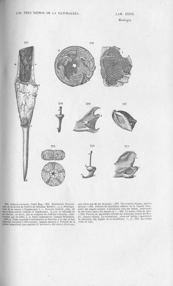 Página 434. Tomo noveno. Los Tres Reinos de la Naturaleza. Museo Pintoresco. Mineralog&iacute;a.