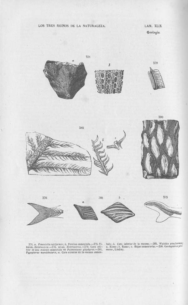 Página 454. Tomo noveno. Los Tres Reinos de la Naturaleza. Museo Pintoresco. Mineralogía.