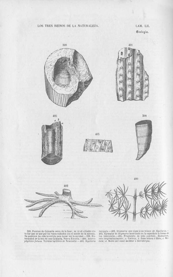 Página 462. Tomo noveno. Los Tres Reinos de la Naturaleza. Museo Pintoresco. Mineralog&iacute;a.