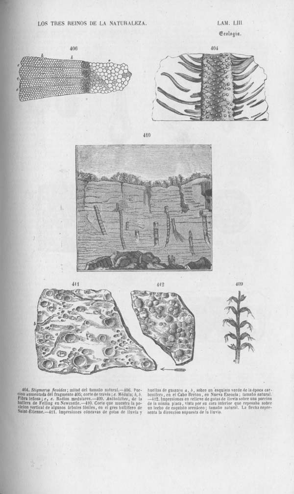 Página 465. Tomo noveno. Los Tres Reinos de la Naturaleza. Museo Pintoresco. Mineralog&iacute;a.