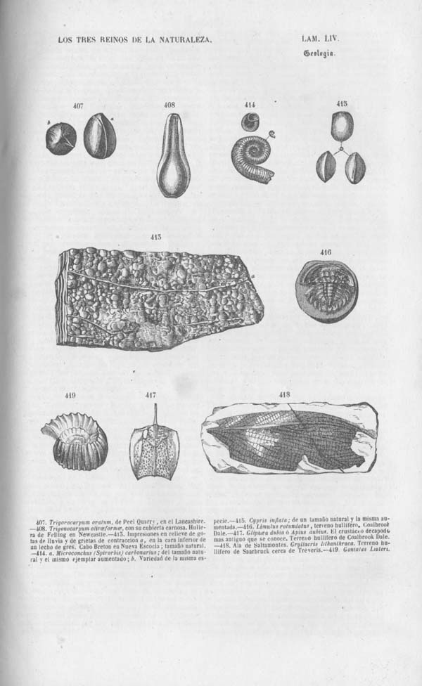 Página 466. Tomo noveno. Los Tres Reinos de la Naturaleza. Museo Pintoresco. Mineralog&iacute;a.