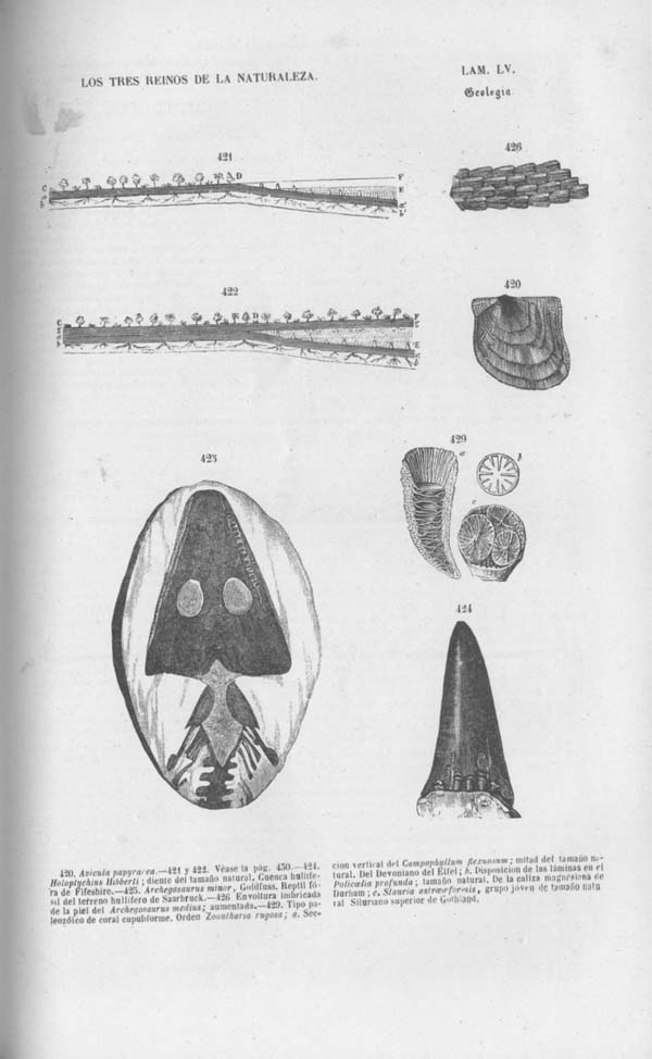 Página 473. Tomo noveno. Los Tres Reinos de la Naturaleza. Museo Pintoresco. Mineralog&iacute;a.