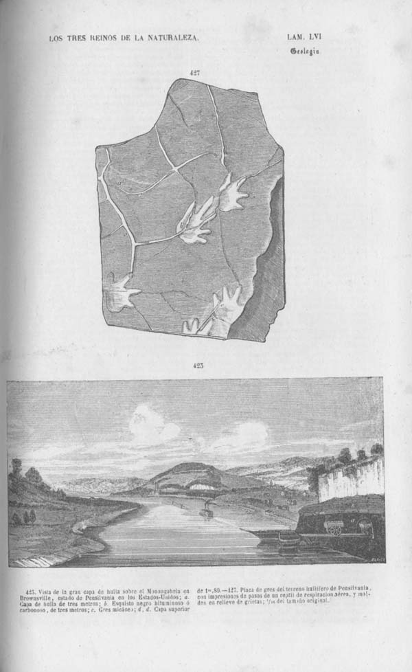 Página 476. Tomo noveno. Los Tres Reinos de la Naturaleza. Museo Pintoresco. Mineralog&iacute;a.