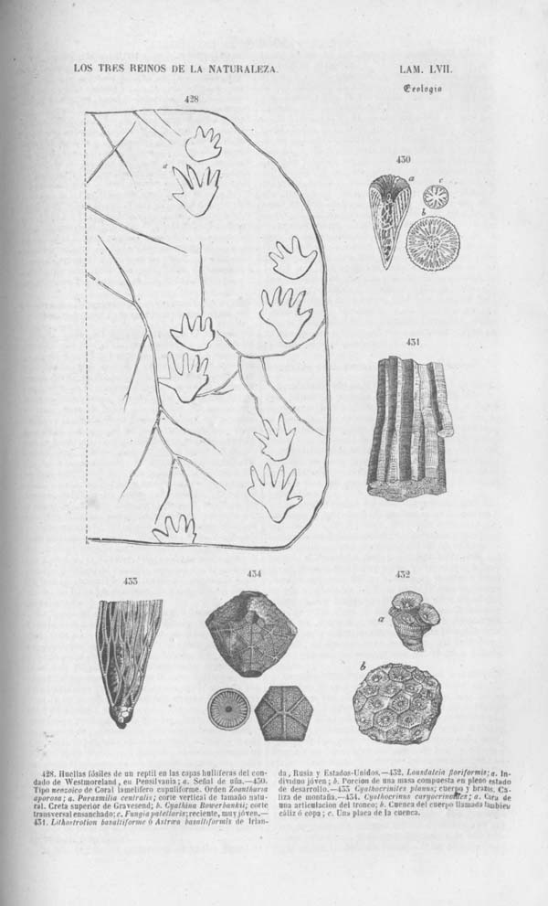 Página 479. Tomo noveno. Los Tres Reinos de la Naturaleza. Museo Pintoresco. Mineralog&iacute;a.
