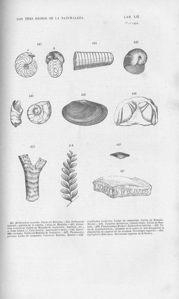 Página 483. Tomo noveno. Los Tres Reinos de la Naturaleza. Museo Pintoresco. Mineralog&iacute;a.