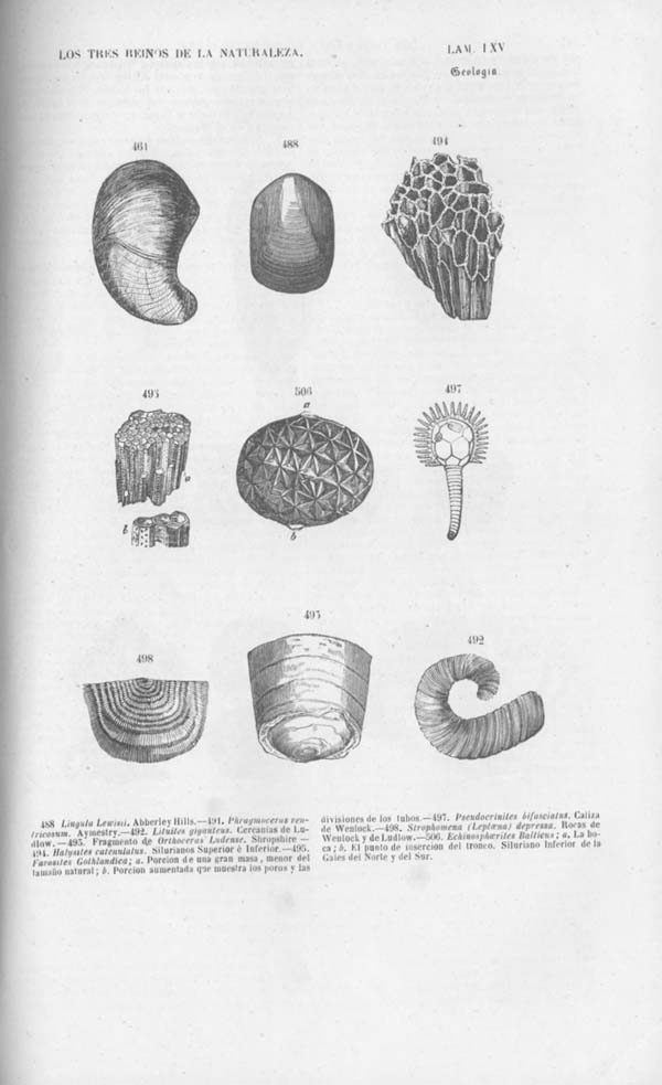 Página 497. Tomo noveno. Los Tres Reinos de la Naturaleza. Museo Pintoresco. Mineralog&iacute;a.