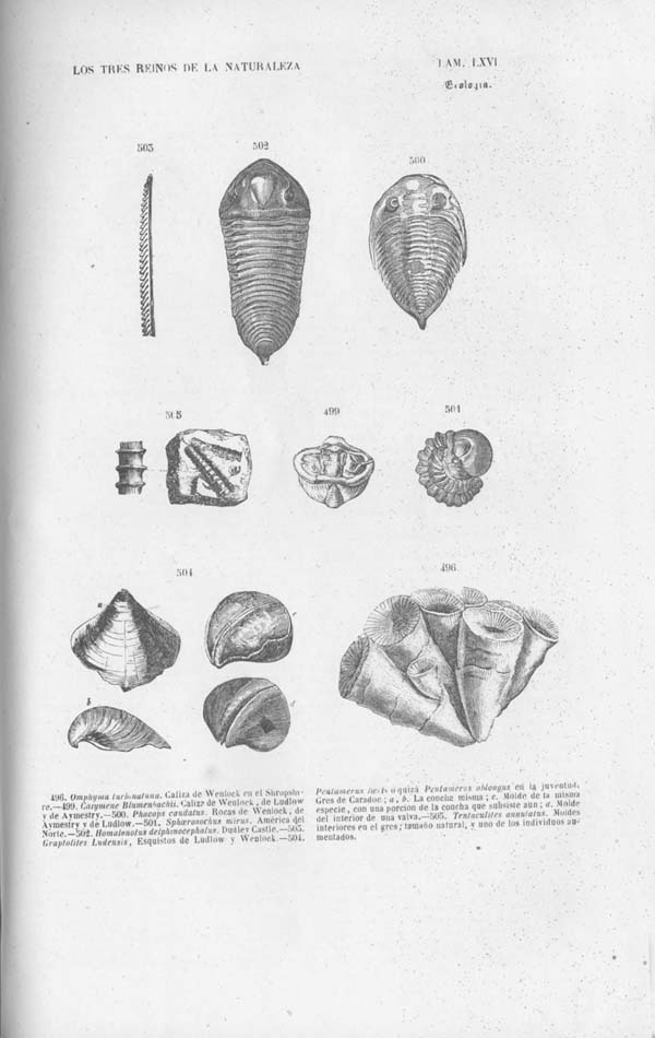 Página 498. Tomo noveno. Los Tres Reinos de la Naturaleza. Museo Pintoresco. Mineralog&iacute;a.