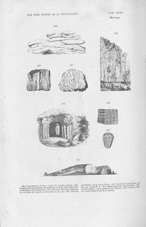 Página 505. Tomo noveno. Los Tres Reinos de la Naturaleza. Museo Pintoresco. Mineralog&iacute;a.